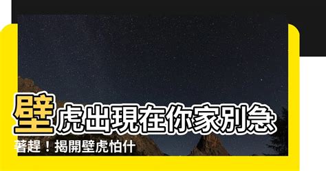 壁虎 風水|【壁虎 風水】壁虎闖入你家不是偶然？風水學揭露3預。